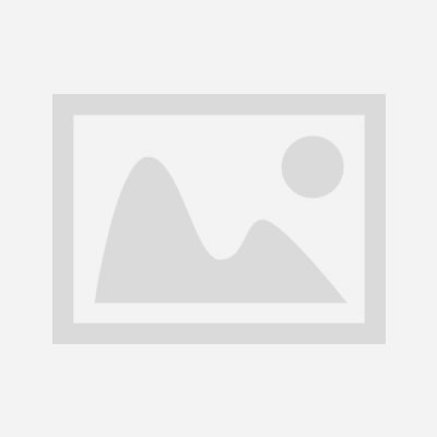 比较加拿大海运价格和时效:选择最佳物流方案